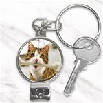 17 Nail Clippers Key Chain