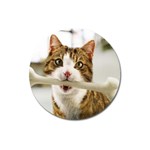 17 Magnet 3  (Round)