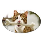 17 Magnet (Oval)