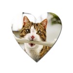 17 Magnet (Heart)