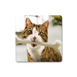 17 Magnet (Square)