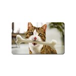 17 Magnet (Name Card)