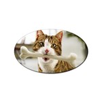 17 Sticker Oval (10 pack)
