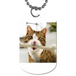 17 Dog Tag (Two Sides)