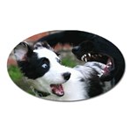 18 Magnet (Oval)