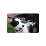 18 Magnet (Name Card)