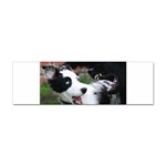 18 Sticker Bumper (10 pack)