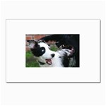18 Postcard 5  x 7 