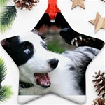 18 Star Ornament (Two Sides)