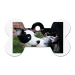 18 Dog Tag Bone (One Side)