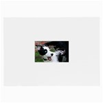 18 Glasses Cloth (Large)