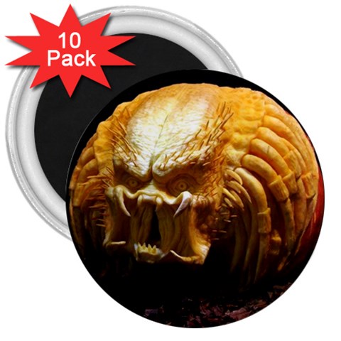 20 3  Magnet (10 pack) from ArtsNow.com Front