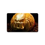 20 Magnet (Name Card)