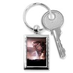21 Key Chain (Rectangle)