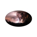 21 Sticker Oval (100 pack)