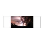 21 Sticker Bumper (10 pack)