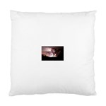 21 Cushion Case (Two Sides)