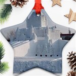 22 Ornament (Star)
