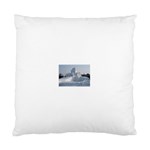 22 Cushion Case (One Side)
