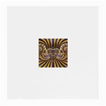 25 Glasses Cloth (Medium)