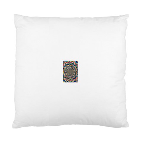 24 Cushion Case (Two Sides) from ArtsNow.com Front