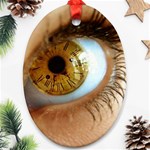 36 Ornament (Oval)