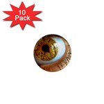 36 1  Mini Magnet (10 pack) 