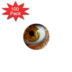 36 1  Mini Magnet (100 pack) 