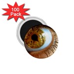 36 1.75  Magnet (100 pack) 