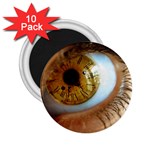 36 2.25  Magnet (10 pack)