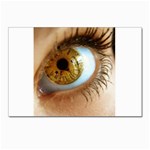 36 Postcard 4 x 6  (Pkg of 10)
