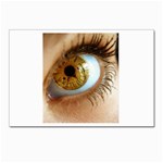 36 Postcards 5  x 7  (Pkg of 10)