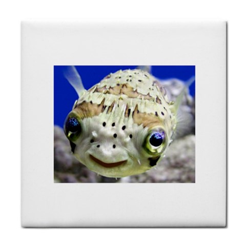 5 Tile Coaster from ArtsNow.com Front