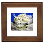 5 Framed Tile
