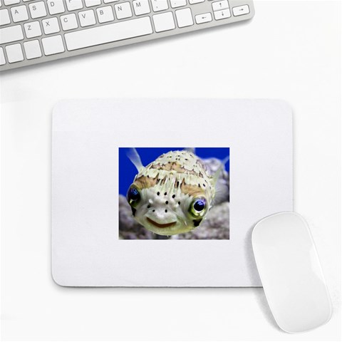 5 Small Mousepad from ArtsNow.com Front