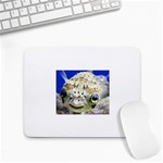 5 Small Mousepad