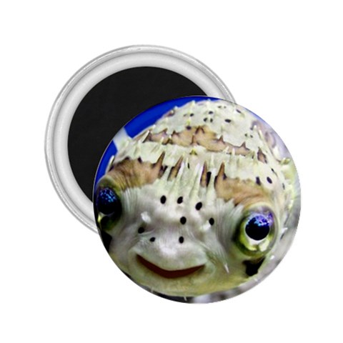 5 2.25  Magnet from ArtsNow.com Front
