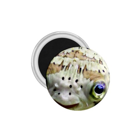 5 1.75  Magnet from ArtsNow.com Front