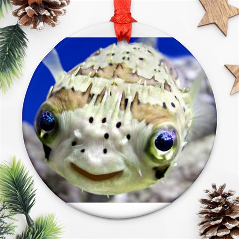 5 Ornament (Round) from ArtsNow.com Front