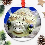 5 Ornament (Round)