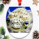 5 Ornament (Oval)