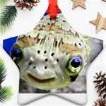 5 Ornament (Star)