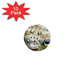 5 1  Mini Button (10 pack) 