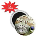 5 1.75  Magnet (10 pack) 