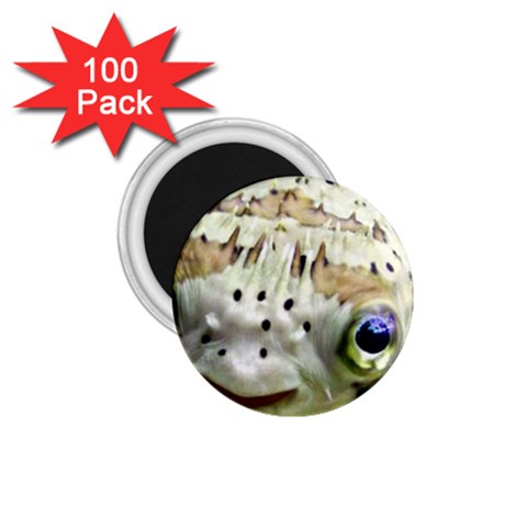 5 1.75  Magnet (100 pack)  from ArtsNow.com Front