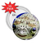 5 2.25  Button (10 pack)