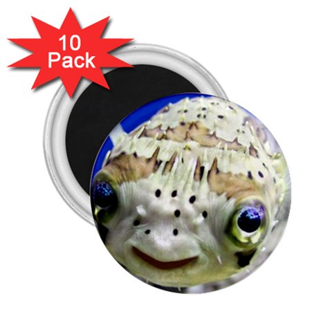 5 2.25  Magnet (10 pack) from ArtsNow.com Front