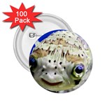 5 2.25  Button (100 pack)