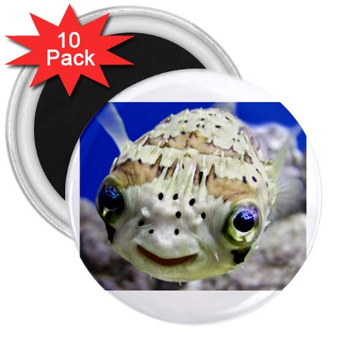 5 3  Magnet (10 pack) from ArtsNow.com Front