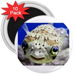 5 3  Magnet (10 pack)
